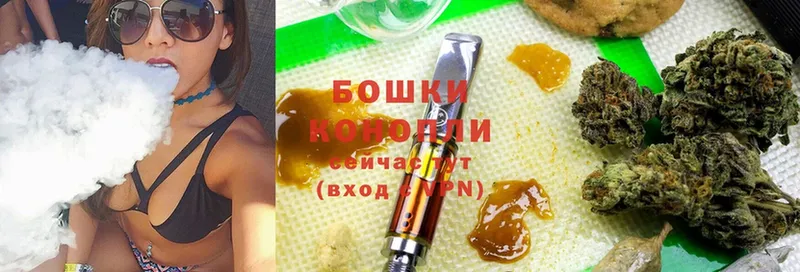 Канабис White Widow  Волхов 